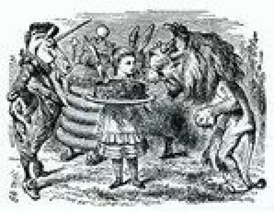 Det er utfordrende å forklare enhjørninger og andre fantasidyr for eksternalistiske teorier. Fra J. Tenniels illustrasjoner til Alice i eventyrland (Kilde: Wikimedia commons) Det er utfordrende å forklare enhjørninger og andre fantasidyr for eksternalistiske teorier. Fra J. Tenniels illustrasjoner til Alice i eventyrland (Kilde: Wikimedia commons)