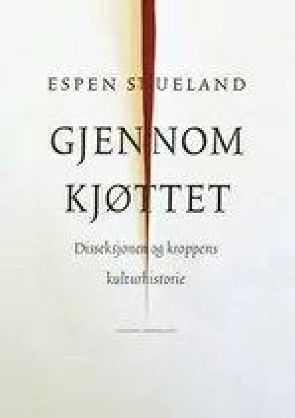 Gjennom kjøttet — Espen Stueland Gjennom kjøttet — Espen Stueland