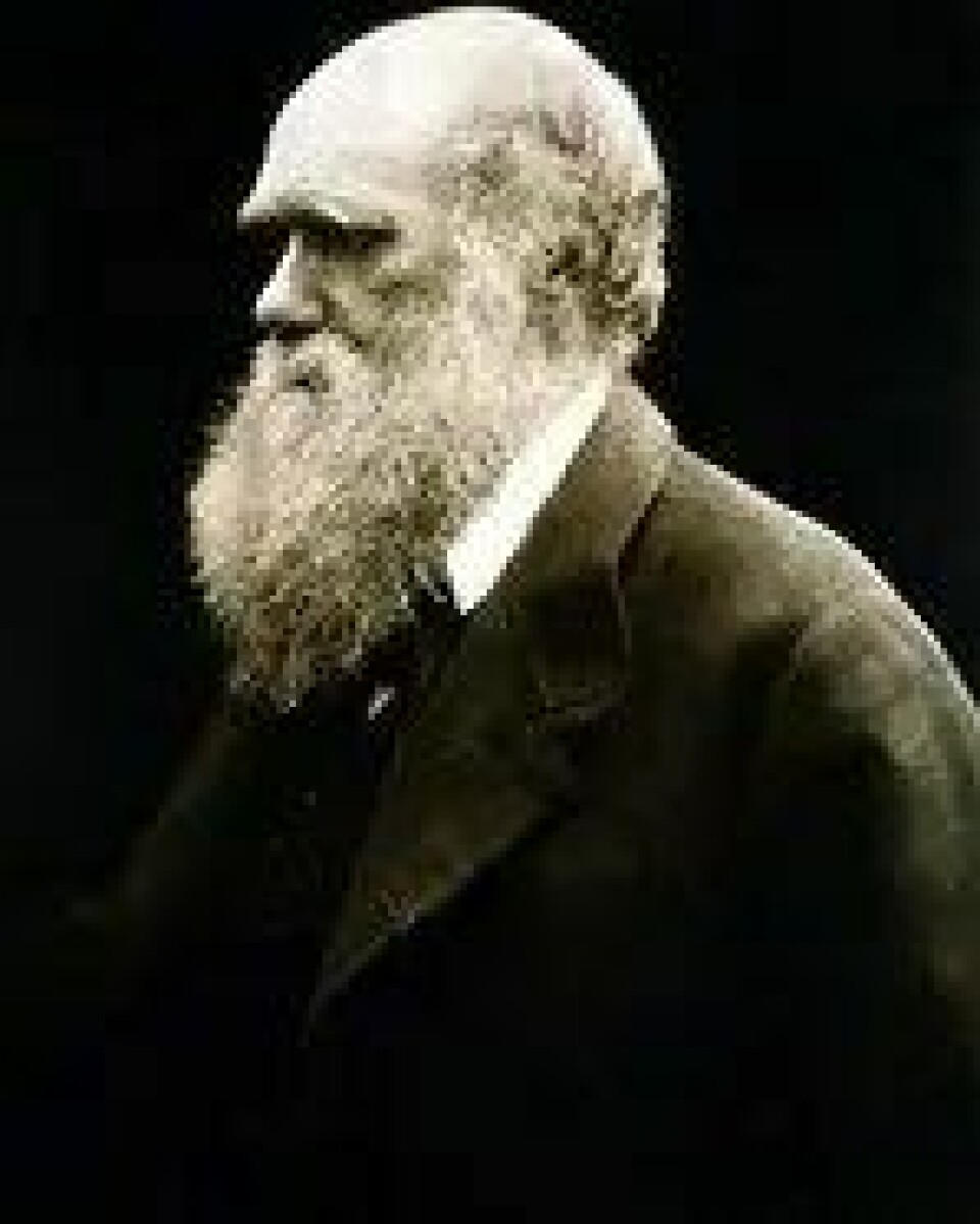 I likhet med Charles Darwin (bildet) står Frege for et irreversibelt paradigmeskifte innenfor sitt fag, sier Einar Duenger Bøhn. (Kilde: Wikimedia commons)