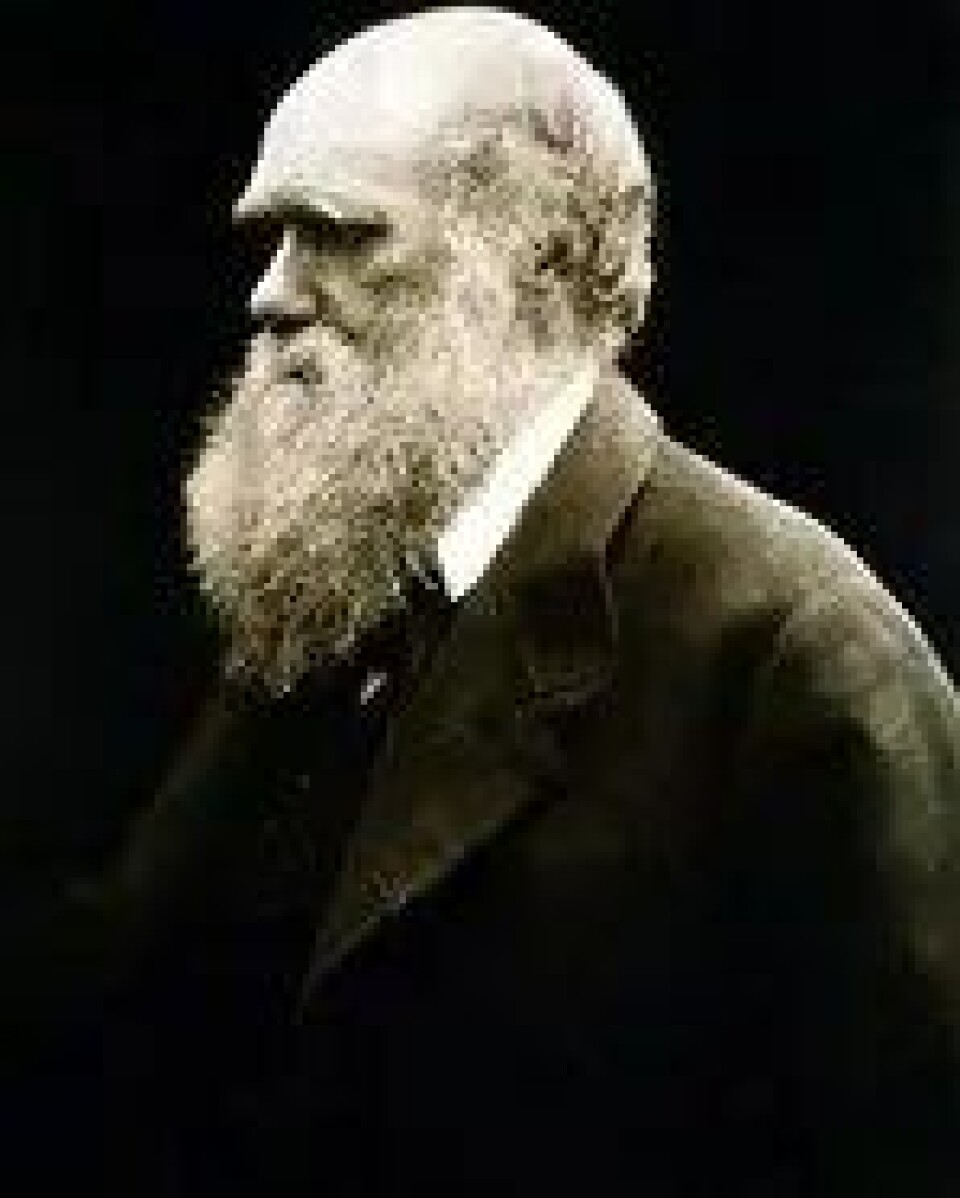 I likhet med Charles Darwin (bildet) står Frege for et irreversibelt paradigmeskifte innenfor sitt fag, sier Einar Duenger Bøhn. (Kilde: Wikimedia commons) I likhet med Charles Darwin (bildet) står Frege for et irreversibelt paradigmeskifte innenfor sitt fag, sier Einar Duenger Bøhn. (Kilde: Wikimedia commons)