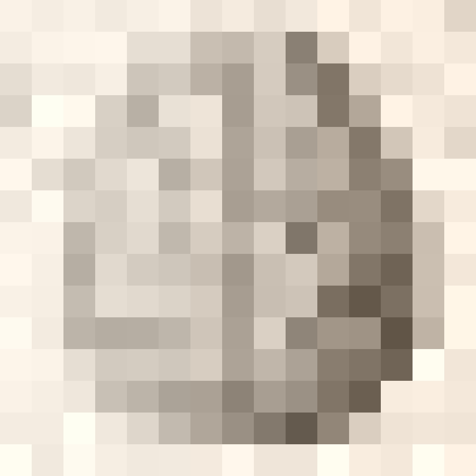 Humanister gransker hjernen