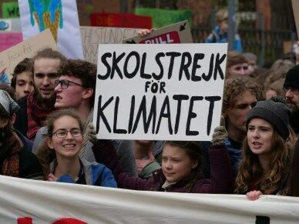 Fridays for future demonstration, Berlin 2019. (Foto: Wikimedia commons.) Fridays for future demonstration, Berlin 2019. (Foto: Wikimedia commons.)