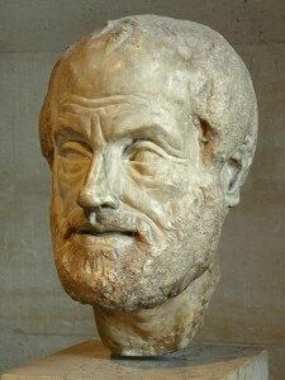 Portrett av Aristoteles. Copy av en tapt bronsestatue av Lysippos.(Kilde: Wikimedia commons)