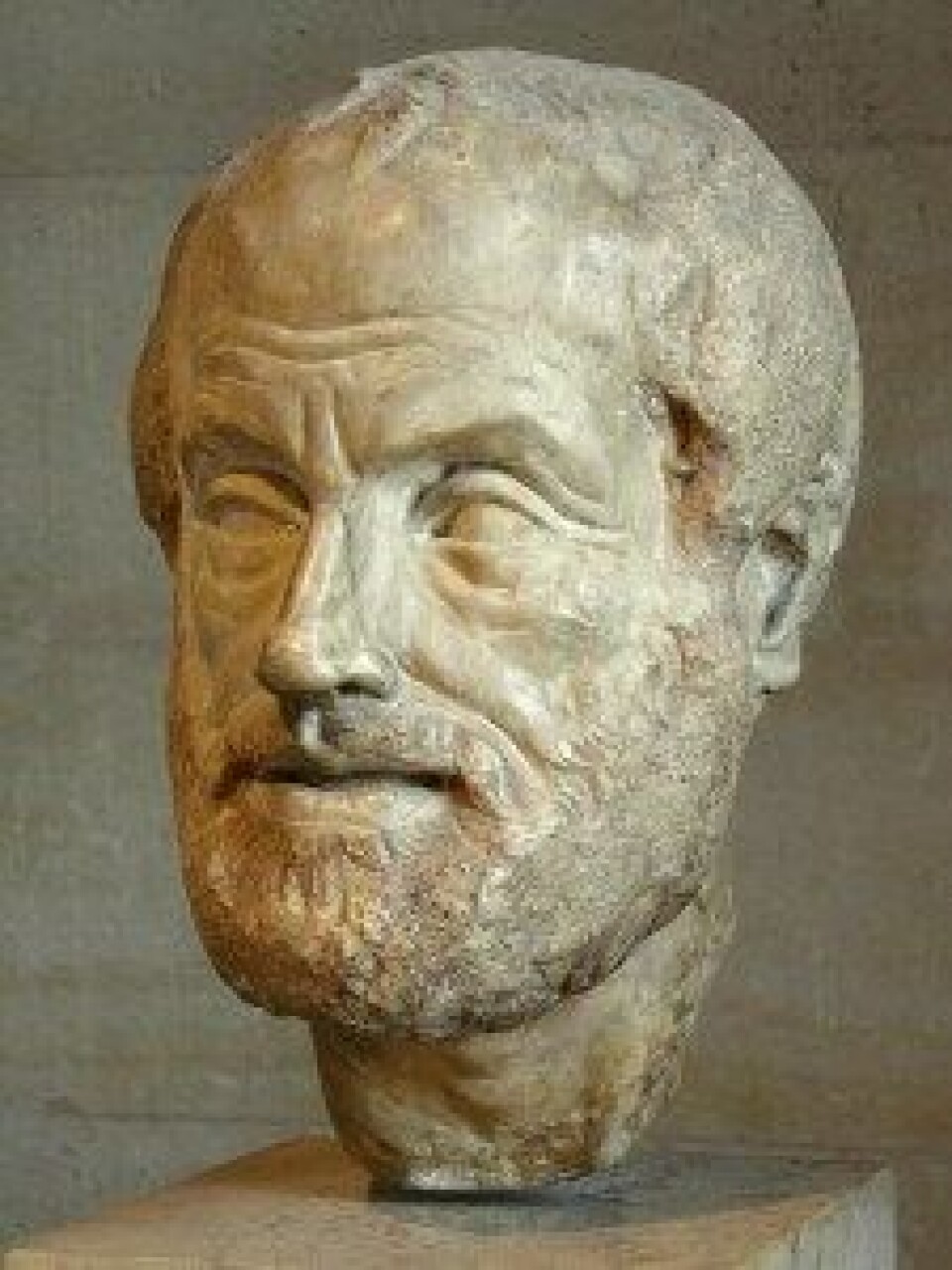 Portrett av Aristoteles. Copy av en tapt bronsestatue av Lysippos.(Kilde: Wikimedia commons) Portrett av Aristoteles. Copy av en tapt bronsestatue av Lysippos.(Kilde: Wikimedia commons)