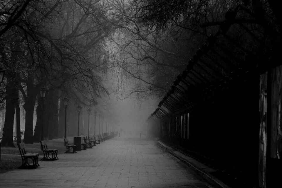 Kilde: Daniel Kulinski / Flickr Kilde: Daniel Kulinski / Flickr