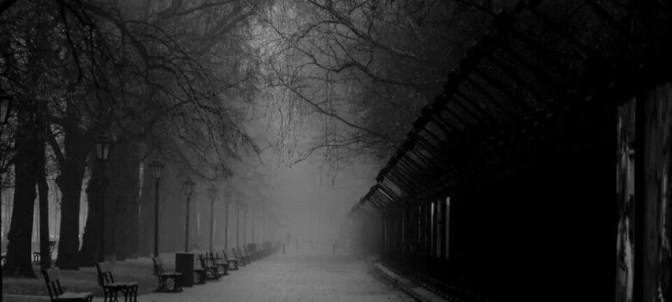 LES OGSÅ: ANSVARET FOR FREMTIDEN