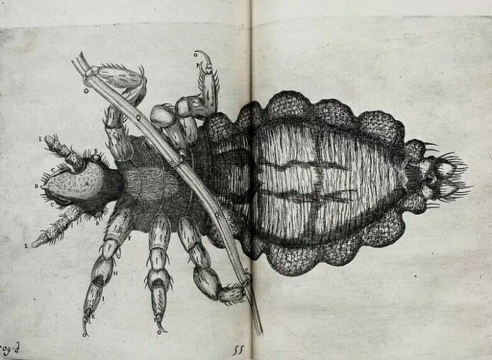 Obseruationes circa viuentia, 1691 (Kilde: Wikimedia commons) Obseruationes circa viuentia, 1691 (Kilde: Wikimedia commons)