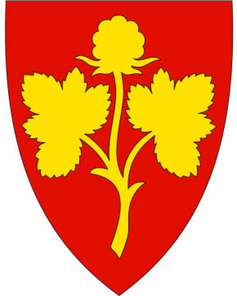 Nesseby kommune ligger i øst-Finnmark. På nordsamisk heter kommunen Unjárga. Kommunevåpenet forestiller en gull molteplante på rød bakgrunn. Planten er vanlig i kommunen.