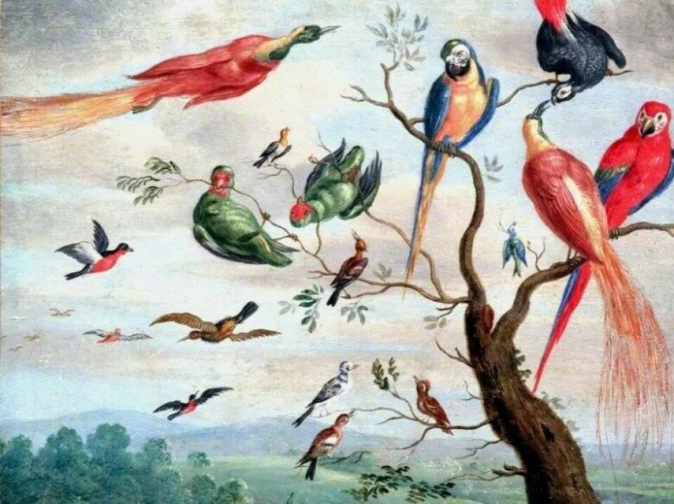 «Viljen er et møtested mellom rasjonalitet og sanselighet.» Oljemaleri av Jan van Kessel I (Kilde: Wikimedia Commons) «Viljen er et møtested mellom rasjonalitet og sanselighet.» Oljemaleri av Jan van Kessel I (Kilde: Wikimedia Commons)