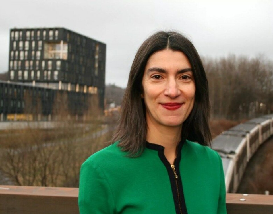 Hva skjer med Antarktis når isen smelter?