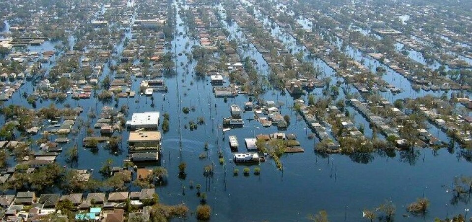 New Orleans etter orkanen Katarina i 2005. (Kilde: Wikimedia Commons)