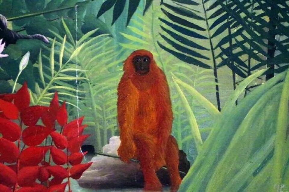 Tropical Forest with Monkeys av Henri Rousseau 1910. Kilde: Flickr.