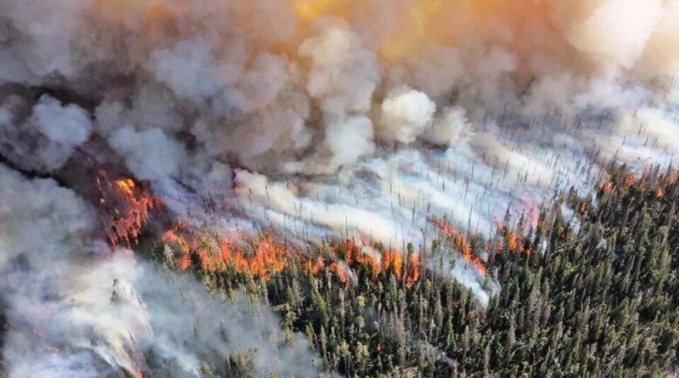 Dagens politiske institusjoner har mislyktes i å håndtere klimakrisen, mener Gardiner. (Foto: Mike Lewelling, Forest Atlas, CC BY 2.0) Dagens politiske institusjoner har mislyktes i å håndtere klimakrisen, mener Gardiner. (Foto: Mike Lewelling, Forest Atlas, CC BY 2.0)