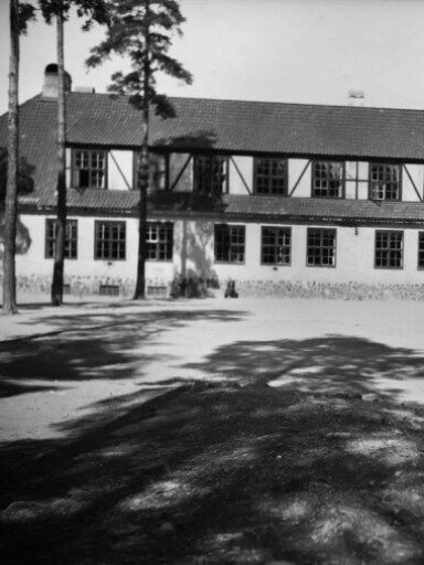 Arendt, samtidskunst og demokratiopplæring