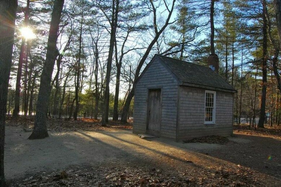 En kopi av Thoreaus hytte nær Walden Pond. (Foto: Flickr)