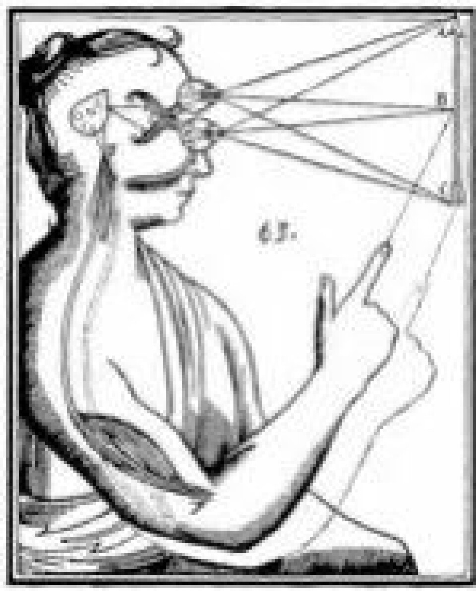 Hovedproblemet i sinnsfilosofien er kropp–sinn-problemet. Dette er René Descartes’ tegning som illustrerer filosofens egen forklaring. (Wikimedia Commons CC0 1.0)