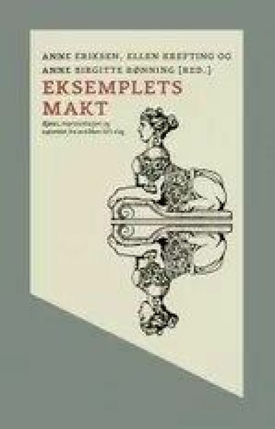Bok: Eksempelets makt – Anne Eriksen, Ellen Krefting, Anne Birgitte Rønning (red.)