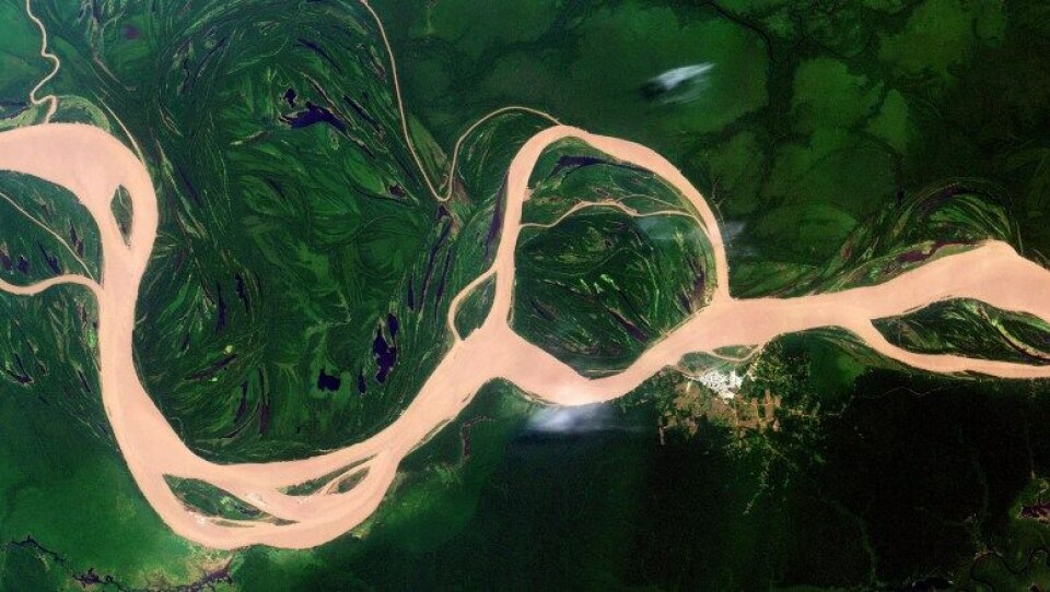 Et satelittbilde av Amazonas-elven ved Fonte Boa, Brasil. (Kilde: Wikimedia commons CC BY-SA 2.0). Et satelittbilde av Amazonas-elven ved Fonte Boa, Brasil. (Kilde: Wikimedia commons CC BY-SA 2.0).