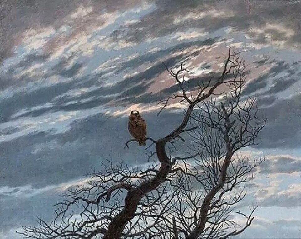 Eule auf schmucklosem Baum, av Caspar David Friedrich. (Kilde: Wikimedia Commons) Eule auf schmucklosem Baum, av Caspar David Friedrich. (Kilde: Wikimedia Commons)