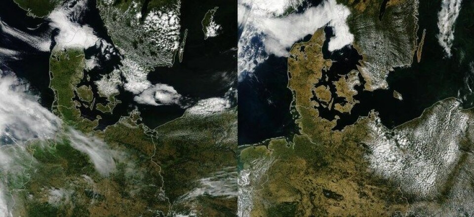 Var sommerens intense varme en form for kollaps? Her ser vi Danmark juli 2017 og juli 2018. (Kilde: NASA.) Var sommerens intense varme en form for kollaps? Her ser vi Danmark juli 2017 og juli 2018. (Kilde: NASA.)