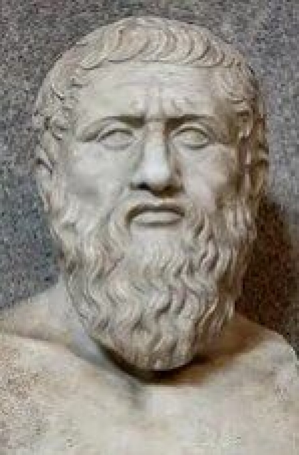 Platon er selvskreven når temaet et klassisk filosofi. Her en romersk kopi av en gresk byste, utstilt ved vatikanmuseene. (Kilde: Wikimedia commons)