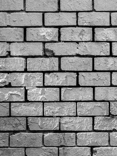 TOTALITARISME FØR OG NÅ