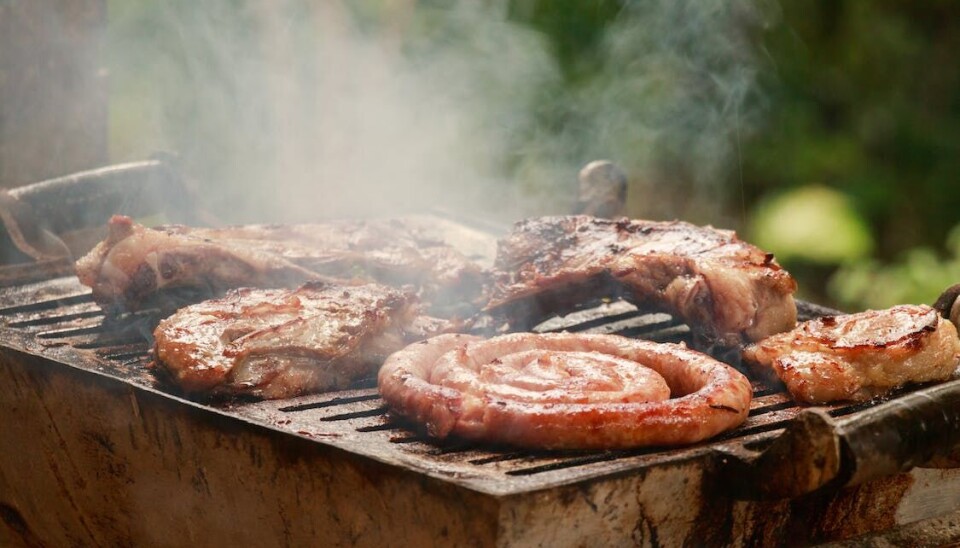 Det står mye kjøtt på menyen i Norge - spesielt i grillsesongen. Men hvorfor spiser vi noen husdyr og ikke andre? Det står mye kjøtt på menyen i Norge - spesielt i grillsesongen. Men hvorfor spiser vi noen husdyr og ikke andre?
