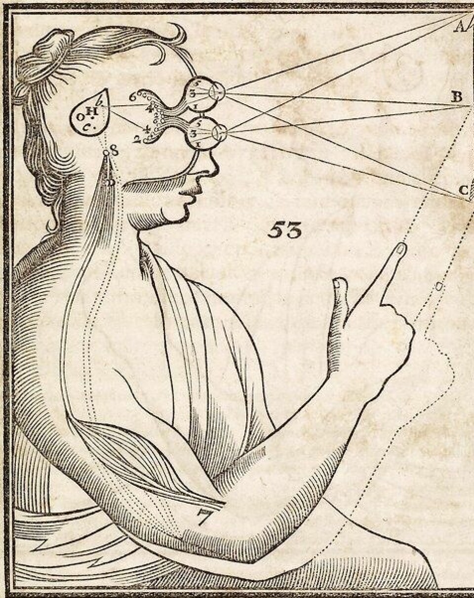 Descartes' tegning av forbindelsen mellom kropp og sjel via konglekjertelen