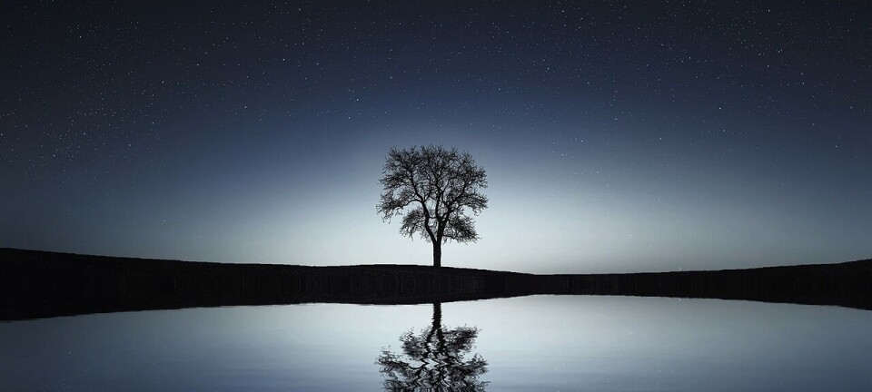 LES OGSÅ: REFLEKSIV ONTOLOGI