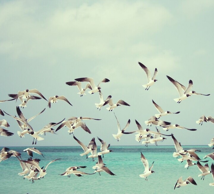 KUNNE VI GJORT NOE ANNET?