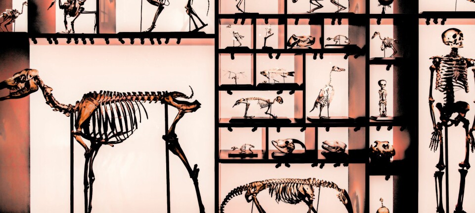 LES OGSÅ: BIOLOGI VED EIT NYTT VEGSKILJE