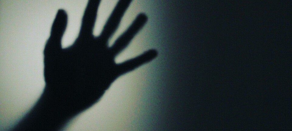 LES OGSÅ: VEIEN UT AV SKYGGELANDET