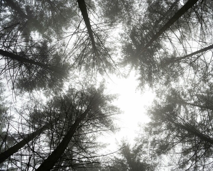 Betingelsene for mulig erfaring er samtidig betingelsene for erfaringens gjenstander. Foto: Luca Dross, pexel