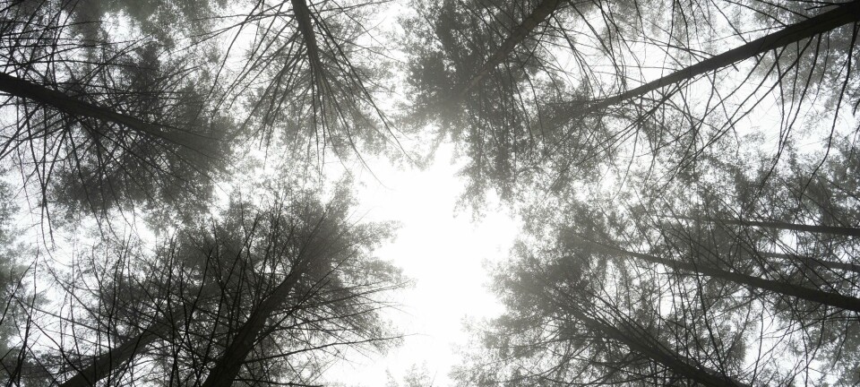 LES OGSÅ: Å BEDØMME VERDEN SOM HELHET