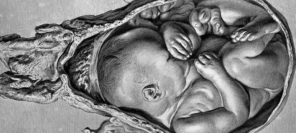 LES OGSÅ: MORALSKE KROPPER: TEKNOLOGI, REPRODUKSJON OG DET NATURLIGE