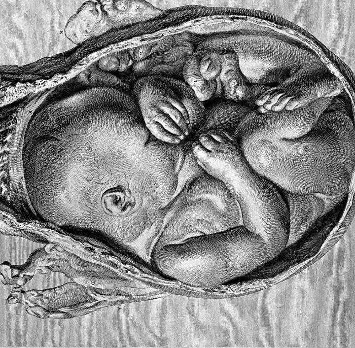 Spørsmål om fødsel og graviditet, kroppslig autonomi, død og det naturlige skaper alle debatt og intereresse. Anna Smajdor berører alle disse temaene.