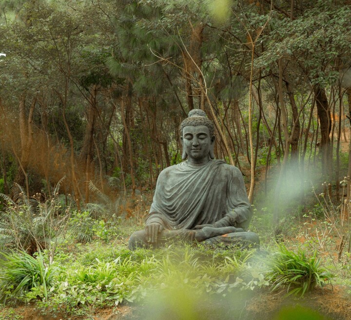 Både i Sāṃkhya og buddhismen er livet preget av lidelse – ikke bare fysisk smerte, men også en subtil eksistensiell uro.