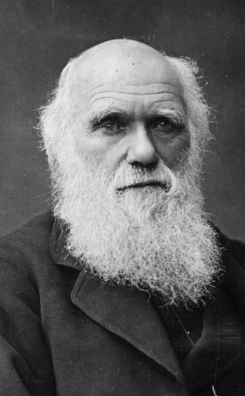 I Om arternes oprindelse ved naturlig selektion (1859) knytter Charles Darwin (1809-1882) uddøen til idéen om naturlig selektion
