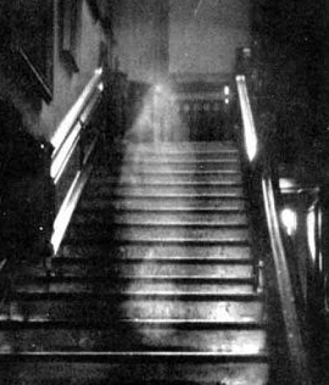 Den Brune Damen fra Raynham Hall er et spøkelse som angivelig hjemsøker Raynham Hall i Norfolk, England. Det ble en av de mest berømte hjemsøkelsene i Storbritannia da fotografer fra magasinet Country Life hevdet å ha fanget bildet av henne. 'Den Brune Damen' har fått sitt navn fordi hun angivelig bærer en brun brokadekjole.