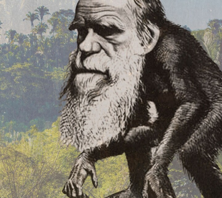 Gammel karikatur av Darwin